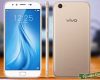 harga Vivo V5 plus spesifikasi dan review