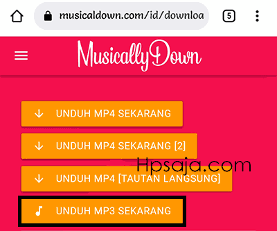 musicallydown tiktok Download audio Mp3 (gambar 2)