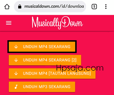 musicallydown tiktok Download Video (gambar 3)