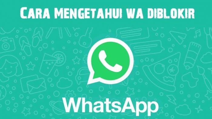 cara mengetahui nomor verifikasi wa