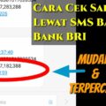 saldo money cek cara di